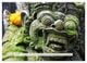 Thumbnail-9