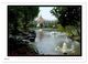 Thumbnail-7