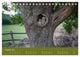 Thumbnail-10
