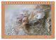Thumbnail-14