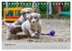 Thumbnail-11