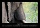 Thumbnail-12