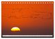 Thumbnail-8