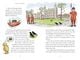 Thumbnail-2