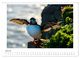 Thumbnail-9