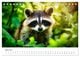 Thumbnail-9