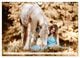 Thumbnail-12