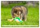 Thumbnail-11