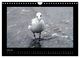 Thumbnail-12