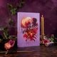 Thumbnail-2
