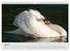 Thumbnail-12