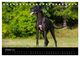 Thumbnail-12