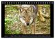 Thumbnail-8
