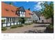 Thumbnail-8
