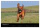 Thumbnail-11