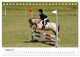 Thumbnail-13