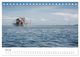 Thumbnail-12
