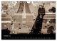Thumbnail-12