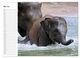 Thumbnail-10