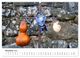Thumbnail-12