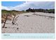 Thumbnail-9