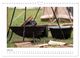 Thumbnail-12