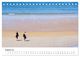Thumbnail-13