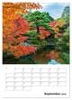 Thumbnail-11