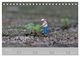 Thumbnail-8