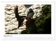 Thumbnail-11