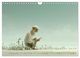 Thumbnail-10