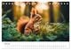 Thumbnail-12