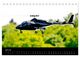 Thumbnail-12