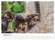 Thumbnail-14