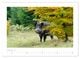 Thumbnail-12