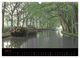 Thumbnail-8