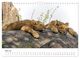 Thumbnail-10