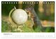Thumbnail-11