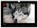Thumbnail-12