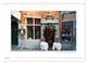 Thumbnail-8