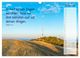 Thumbnail-12