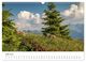 Thumbnail-11