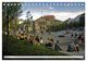 Thumbnail-8