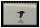 Thumbnail-11