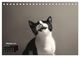 Thumbnail-12