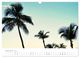 Thumbnail-14