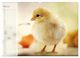 Thumbnail-9