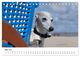 Thumbnail-10