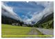 Thumbnail-8