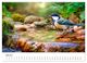 Thumbnail-11